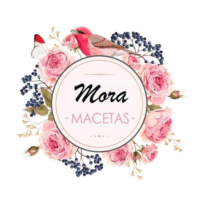 MORA MACETAS